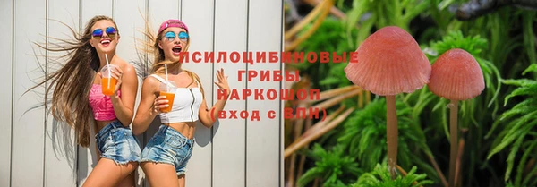 гидропоника Бугульма