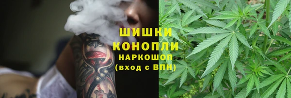 гидропоника Бугульма