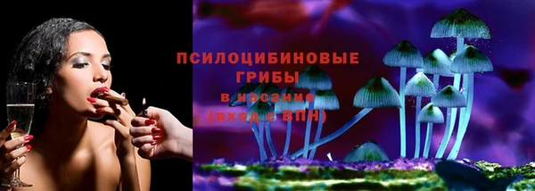гидропоника Бугульма