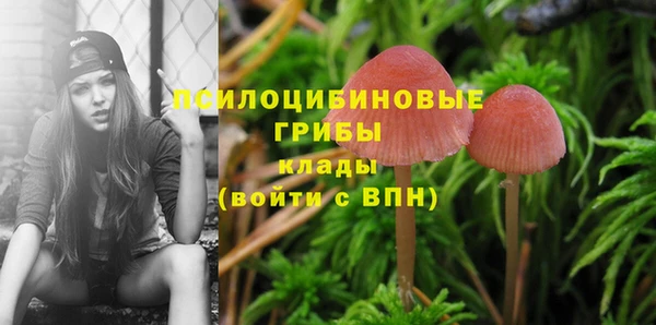 гидропоника Бугульма
