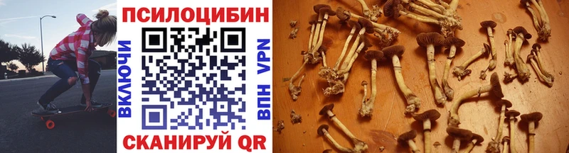 это официальный сайт  Новосокольники  Псилоцибиновые грибы мухоморы  купить наркоту  мега онион 